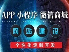 重慶應用軟件開發(fā) 區(qū)域優(yōu)勢與行業(yè)趨勢