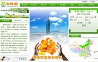 重慶軟件開發(fā)新趨勢 直銷行業(yè)軟件定制化解決方案探析